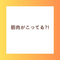 画像254