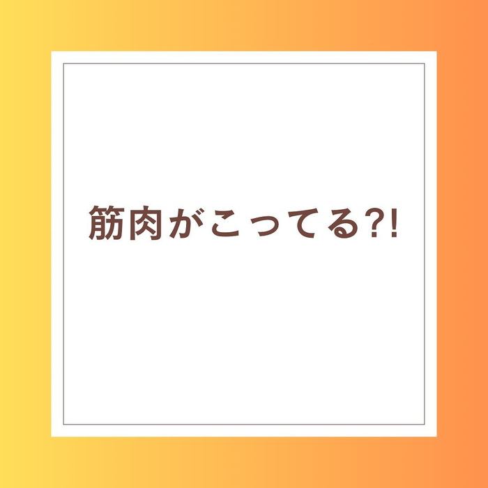 画像254