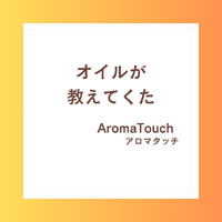 画像255
