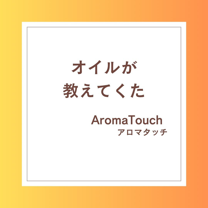 画像255