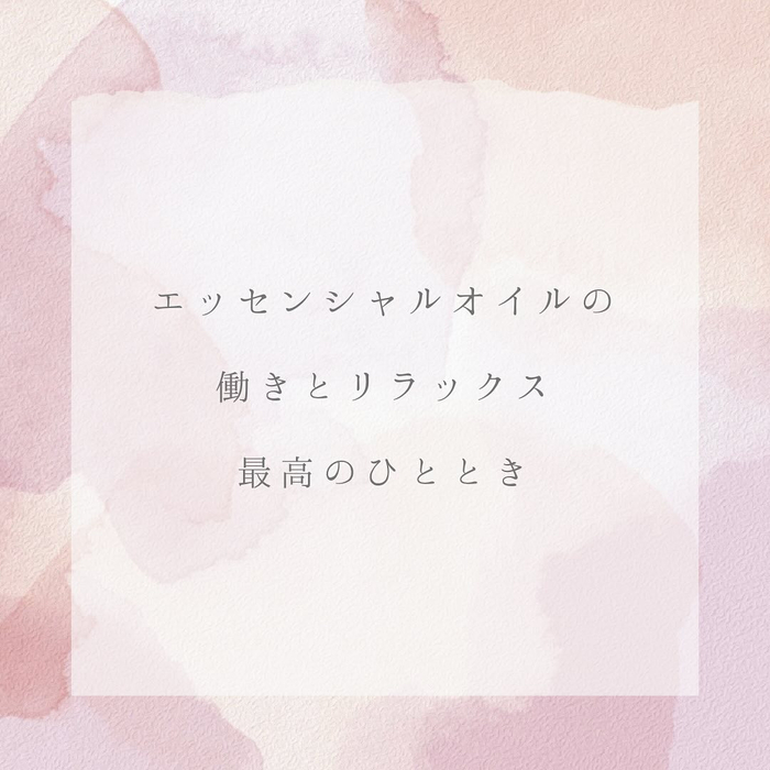 画像312