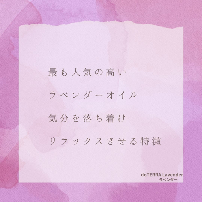 画像328
