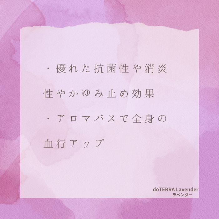 画像329