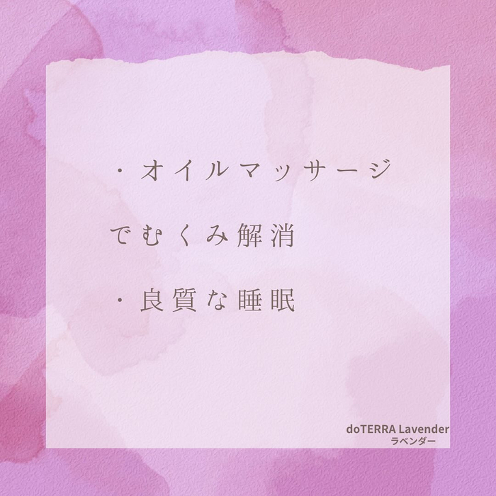 画像330