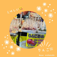 画像338